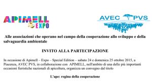 convegno-api