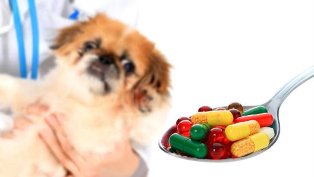 LA STAMPA “Prezzi elevati per i farmaci veterinari? L’Italia spieghi all’Europa le peculiarità del nostro sistema”