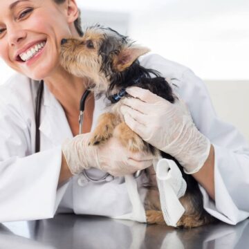 rc professionale veterinari: ecco come funziona e perché attivarla con il nostro sindacato